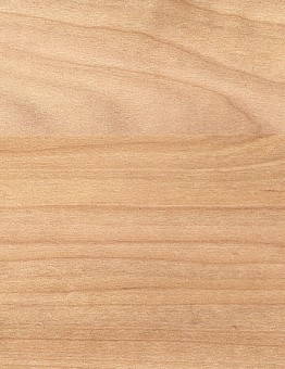 Taraflex Surface Wood